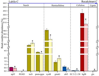 Effects of extreme drought on soil microbial functional genes involved in carbon and nitrogen cycling in alpine peatland